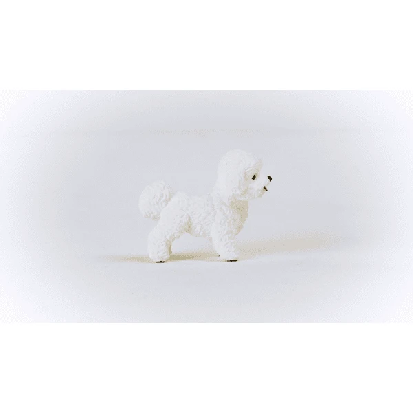 Schleich ® Bichon Frisé 13963 2 Schleich ® Bichon Frisé 13963 - Imagen 2