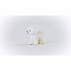 Schleich ® Bichon Frisé 13963 9 Schleich ® Bichon Frisé 13963 -Tienda De Juguetes Para Niños schleich bichon frise 13963 a377216 4