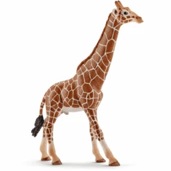 Tienda De Juguetes Para Niños 21 Schleich Giraffe N Bulle 14749